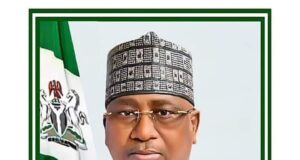 Governor Sacks Aide Over Indecent WhatsApp Post