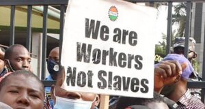 FG Reveals Why Workers Are Yet To Receive June Salary