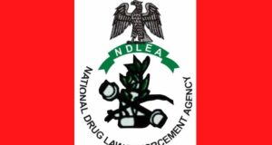 NDLEA to investigate two-year-old’s death in Delta