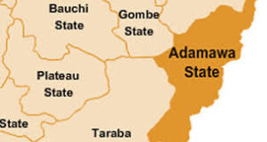 Female Soldier Guns Down Captain In Adamawa