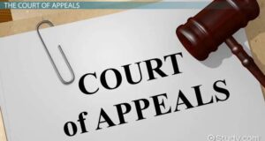 Obey Appeal Court, Dismiss PDP’s Petition – Sani Tells Tribunal