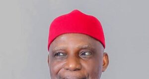 Generator Dealers, Diesel Suppliers Sabotaging Power Supply In Nigeria – Ex-Minister, Prof. Nnaji