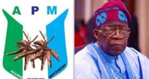 Supreme Court Dismisses APM’s Appeal Against Tinubu