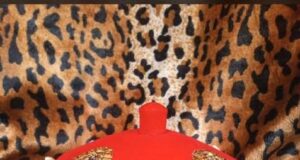 Igweship Tussle: Despite Pending Litigation, Enugu Govt Issues Mr. Nwatu Certificate Of Office Without Election