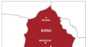 Governor Zulum Demands Justice For Driver Killed By Soldier