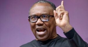 Dismantling Rascality Key To Ensuring Rule of Law – Obi