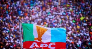 APC Sweeps All Chairmanship Seats In Yobe LG Elections