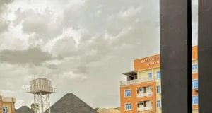 Hardship: Ask Your Governors, They Have Received Rice, Fertilizers – Tinubu’s Minister