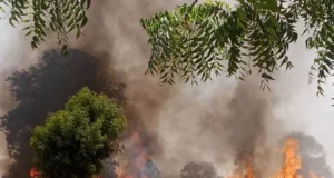 Borno LG Accountant Killed, Others Injured In IED Explosion