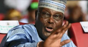 Atiku And His Six-Year Single Term Rotational Presidency