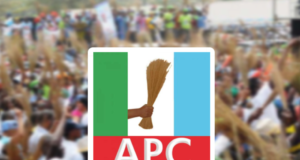 APC Calls For Caution As NASS Moves To Amend Electoral Act For Diaspora Voting