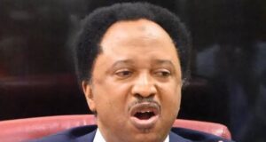 2027: Shehu Sani Supporters Join APC, Senator Expected To Follow Soon