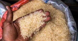 Blackout In North: Bag Of Rice Surges To N160,000 In Gombe