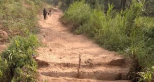 Enugu Community Stranded After Collapse Of Only Bridge, Demands Urgent Government Intervention