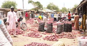 Onion Prices Skyrocket To N250,000 Per Bag, Farmers, Traders Blame Flooding, Inflation
