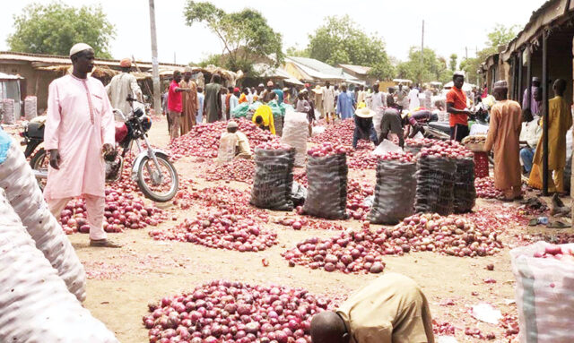 Karfi-onion-market-in-Kano-State