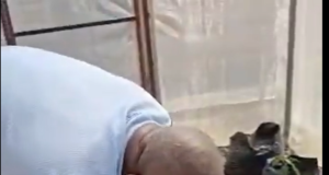 Tinubu’s Special Adviser, Onanuga Embraces Farming As 33 Million Nigerians Face Hunger Crisis In 2025