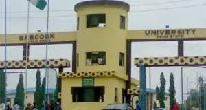 Babcock VC Appeals To FG For Intervention On High Electricity Bills In Private Universities