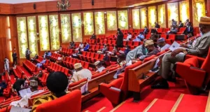 Senate Move Against Ponzi Schemes After CBEX Collapse Devastates Investors
