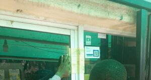 NAFDAC Shuts Down Pharmacy In Abuja For Selling Expired Drugs, Arrests Two