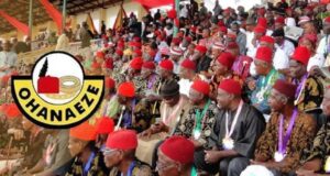 Create Two States In The South Before Proposing 31 New States – Ohanaeze To Reps