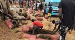 Over Six Killed In Enugu Fatal Accident