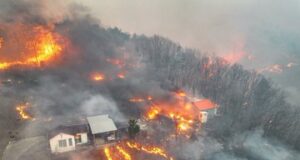 Wildfires Devastate South Korea, Killing 24, Displacing Thousands