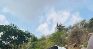 Senator Natasha Reveals Next Steps Against FG’s Criminal Defamation Suit