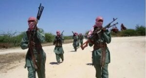 Shinkafi Volunteer Forces K!ll Notorious Bandit Commander In Zamfara