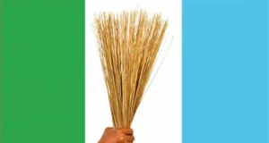 Bye-Election: APC Wins Adamawa Assembly Seat