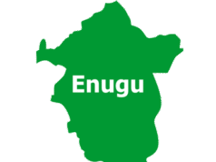 Troops Raid Enugu Forest, Free 14 Kidnap Victims