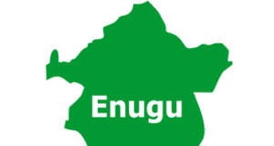 ‘Our Ancestral Lands Not For Sale’, Enugu Community Slams PEIWA Over Alleged Land Grab