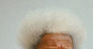 Speak Your Language To Your Children, Soyinka Urges African Parents
