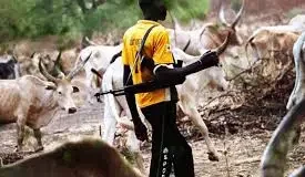 Idoma Traditional Council Orders Herders To Vacate Benue South Following Deadly Attacks
