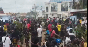 Tension In Benue As Herdsmen Graze Farmlands, Youths Intercept Bus