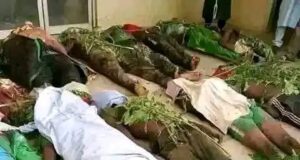 Deadly Clash Between Vigilantes And Turji’s Men Leaves Many Dead In Zamfara