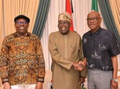 I Returned As Governor Because Of Tinubu’s Special Favour – Fubara