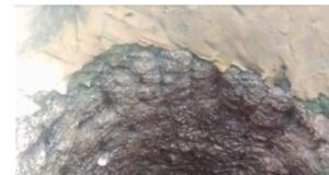 Man Jumps Into Well, Dies After Taking ‘Colorado’