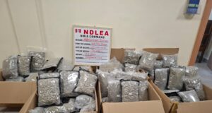 NDLEA Intercepts Drugs Hidden In Frozen Snails, Bulbs, Clothes Bound For UK, US, DRC