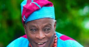 Presidential System Has Failed Nigeria, Parliamentary Model More Inclusive – Chief Olu Falae