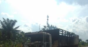 Gunmen Kill Two Truck Drivers, Set Vehicle Ablaze In Imo