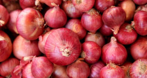 Niger Republic Onion Supply Eases Market Shortage, Set To Lower Prices In Nigeria