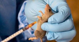 DR Congo Begins Ebola Vaccination Amid New Outbreak