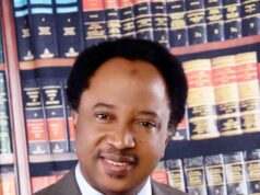 2027: Northern Bid For Presidency Could Rekindle Separatist Agitations – Shehu Sani