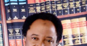 Northerners Failed Themselves, Our Woes Self-Inflicted, A Result Of Terrible Leadership – Shehu Sani Insists
