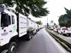 Dangote Pledges Uninterrupted Fuel Supply During Christmas, Says Fuel Queues Gone Forever