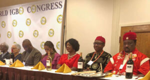 World Igbo Congress USA Convention Sparks Deeper Questions
