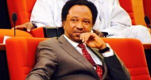 Stop Forging Degrees, Secondary School Certificate Enough For Political Office – Senator Shehu Sani