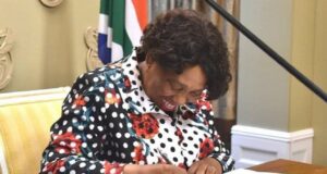 South Africa’s Defence Minister Named Acting President