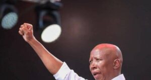 South African Court Convicts Julius Malema On Gun Charges